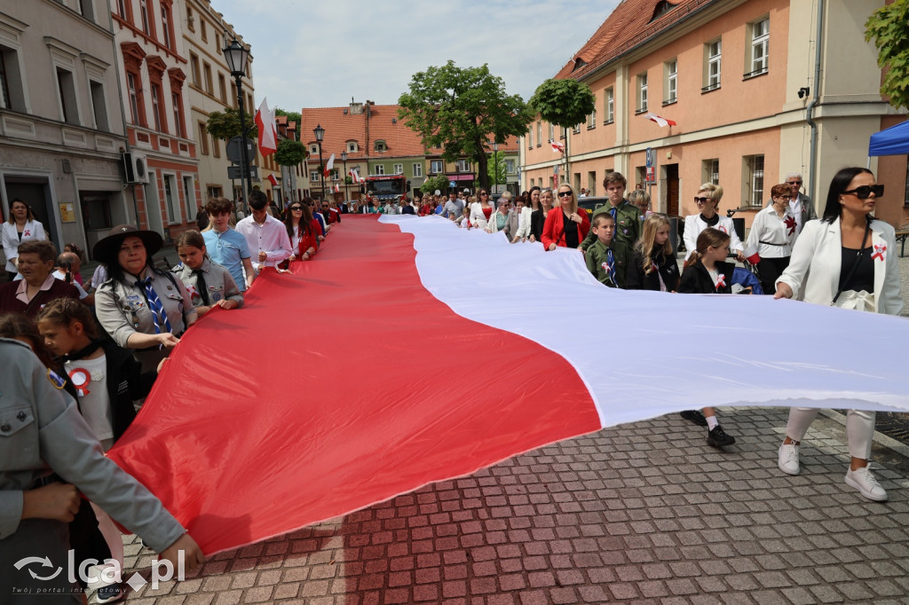Patriotyczna Majówka w Prochowicach