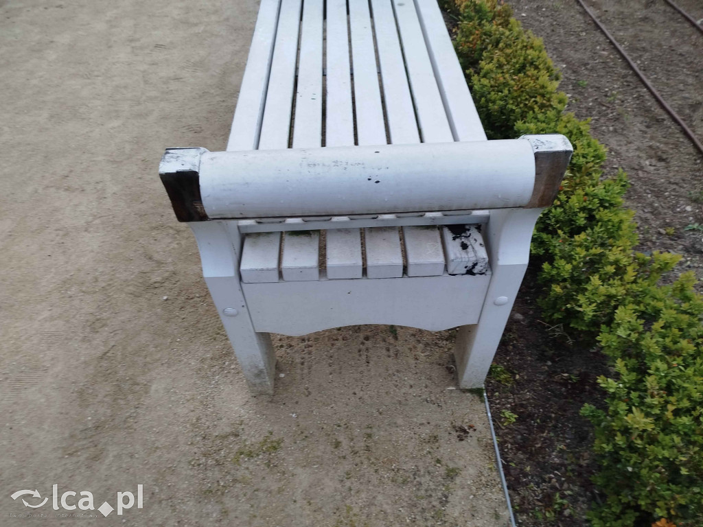 Zniszczone ławki w Parku Miejskim