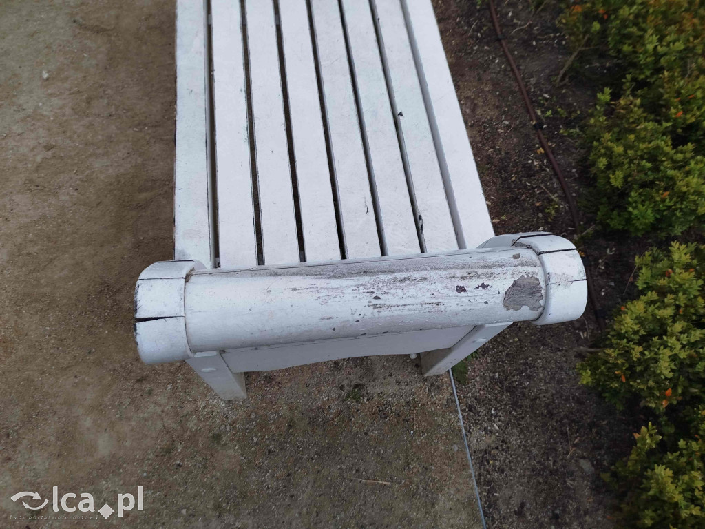 Zniszczone ławki w Parku Miejskim