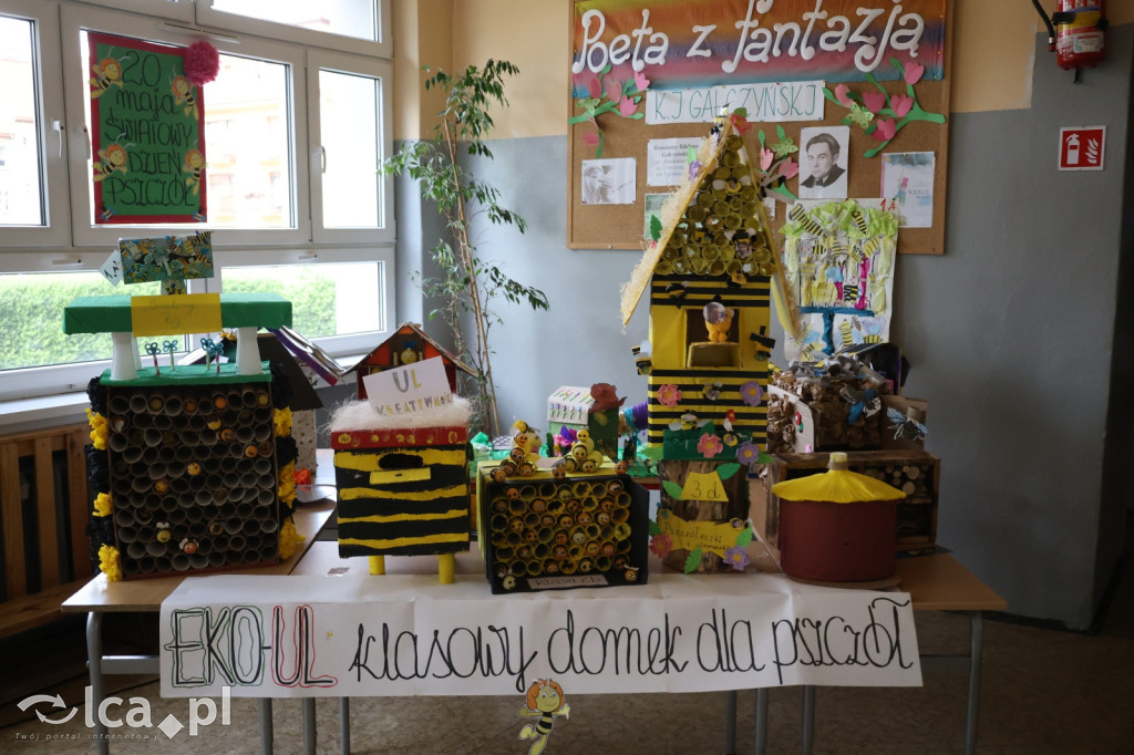 Festyn Profilaktyczny w Szkole Podstawowej nr 7
