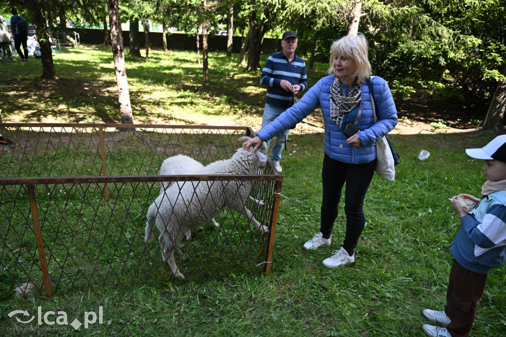 Grill, muzyka i rozmowa o tym, co ważne