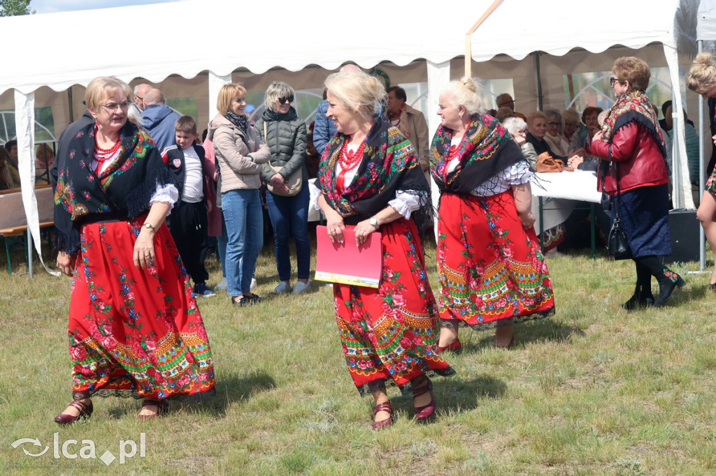 Festiwal Zespołów Folklorystycznych
