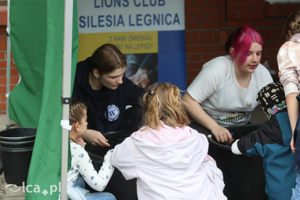Wielki Festyn Dnia Dziecka z TPD