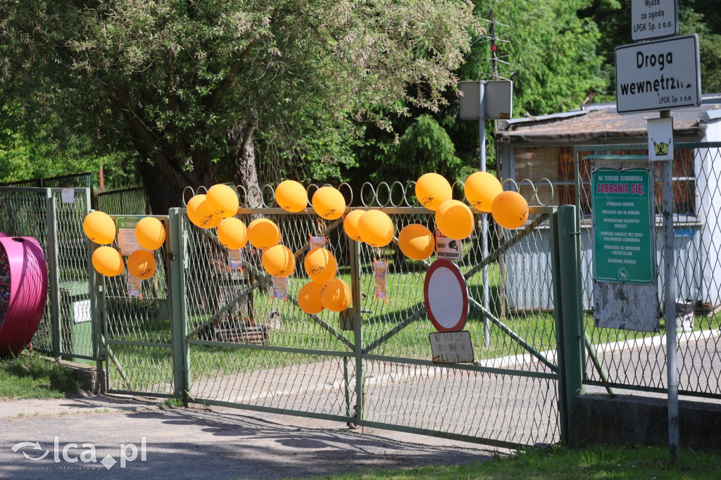 Dzień Dziecka z Bezdomniakiem w Legnicy