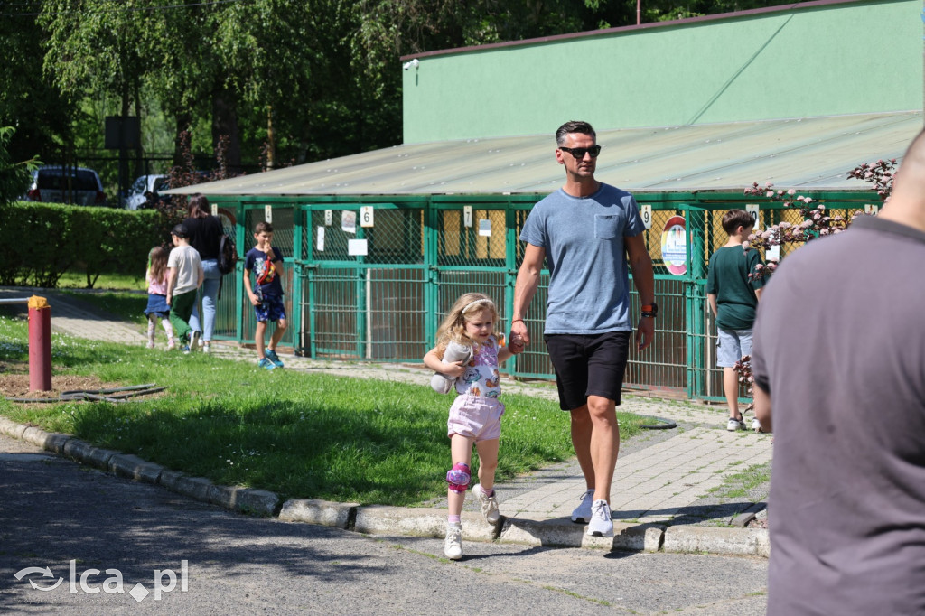 Dzień Dziecka z Bezdomniakiem w Legnicy