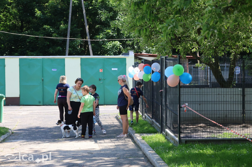 Dzień Dziecka z Bezdomniakiem w Legnicy