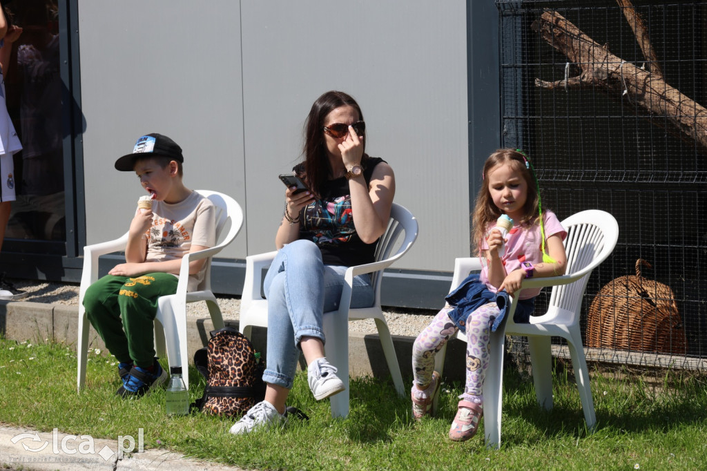 Dzień Dziecka z Bezdomniakiem w Legnicy