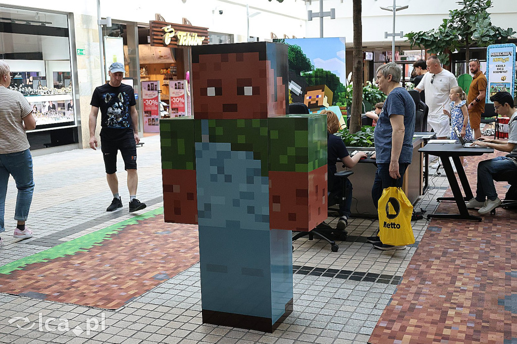 Minecraftowe atrakcje dla najmłodszych