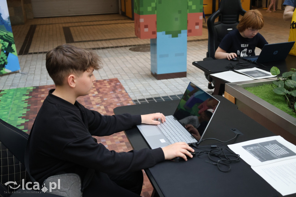 Minecraftowe atrakcje dla najmłodszych