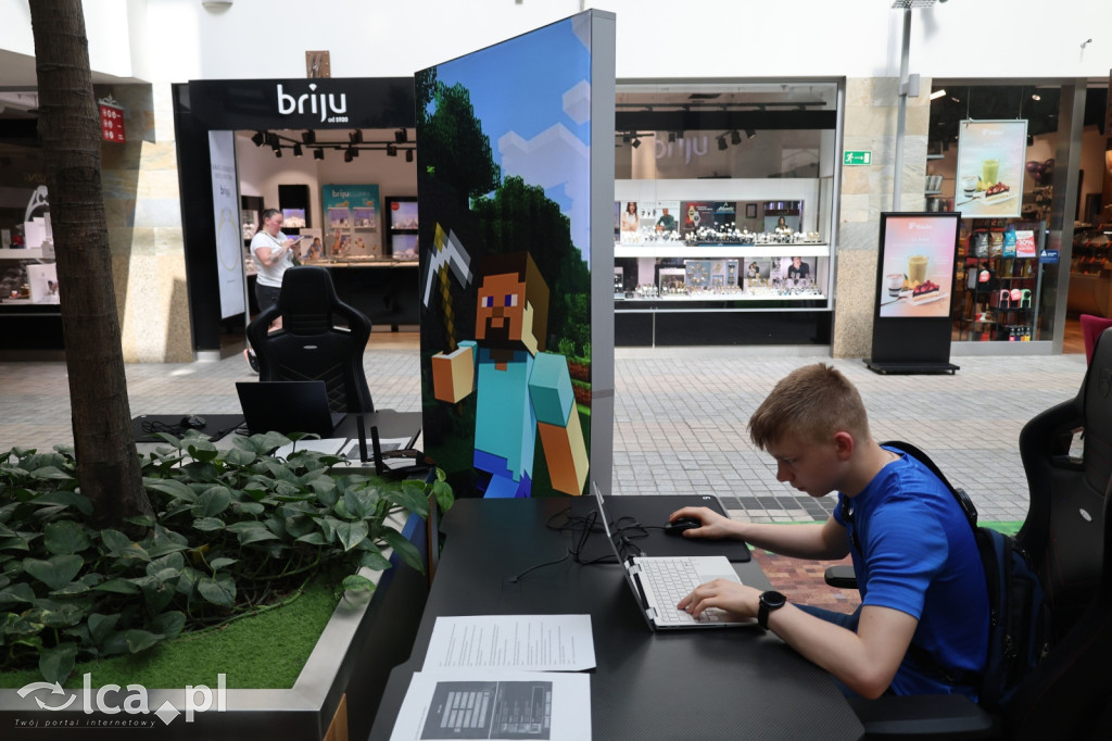 Minecraftowe atrakcje dla najmłodszych