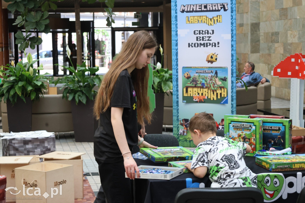 Minecraftowe atrakcje dla najmłodszych