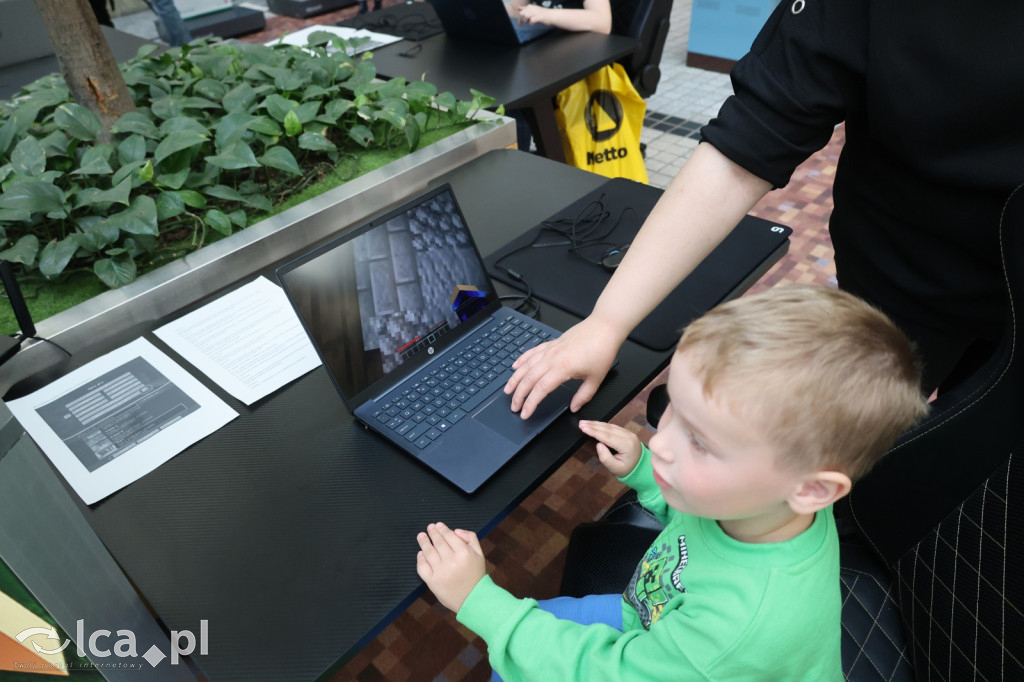 Minecraftowe atrakcje dla najmłodszych