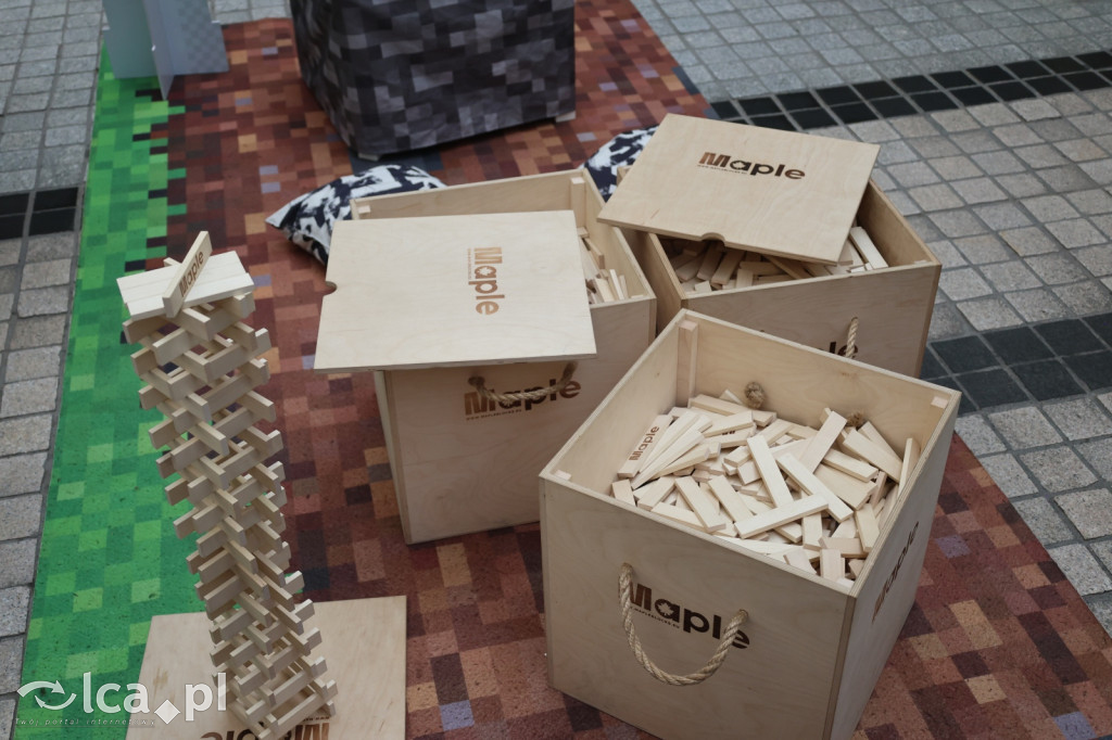 Minecraftowe atrakcje dla najmłodszych