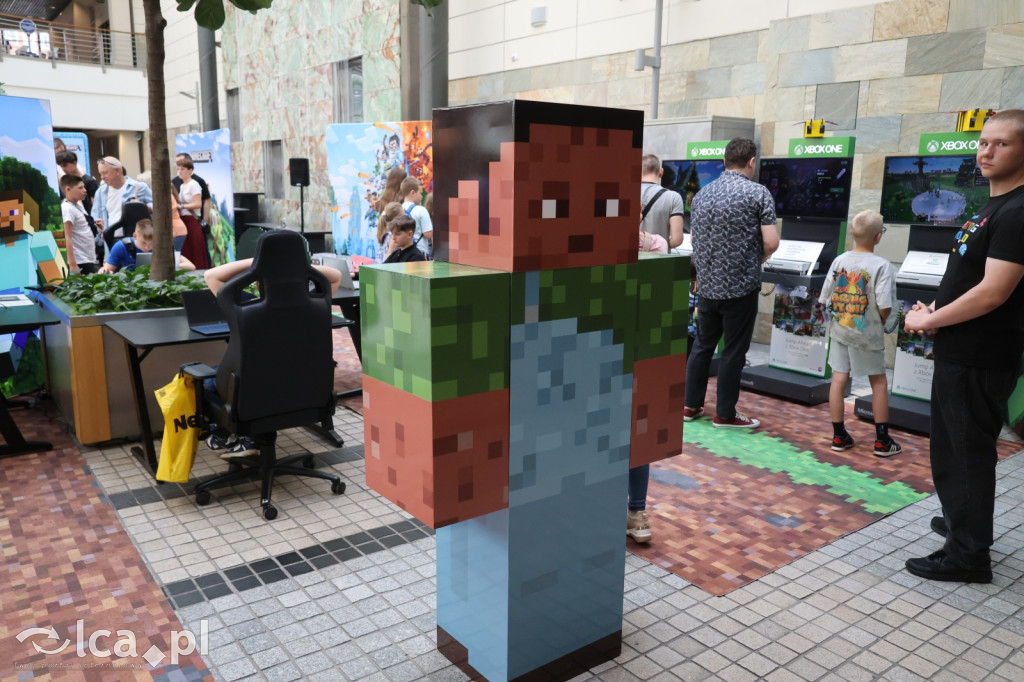 Minecraftowe atrakcje dla najmłodszych