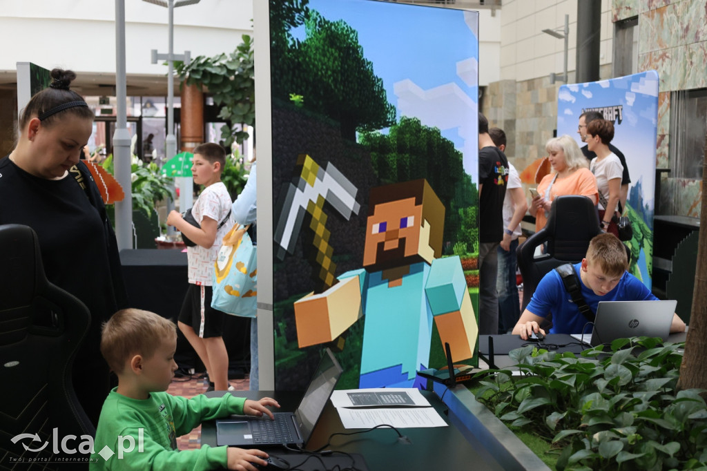Minecraftowe atrakcje dla najmłodszych