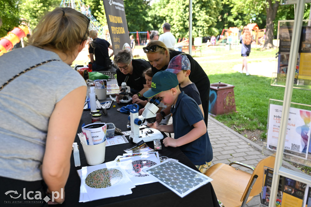 Rodzinny piknik na Tarninowie