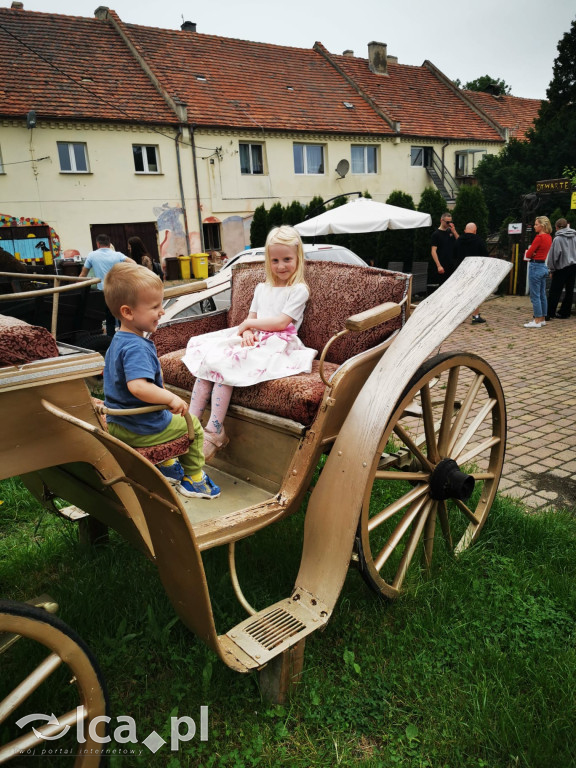Mini Zoo Piotrówek – atrakcja dla całej rodziny