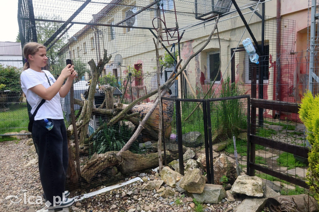 Mini Zoo Piotrówek – atrakcja dla całej rodziny