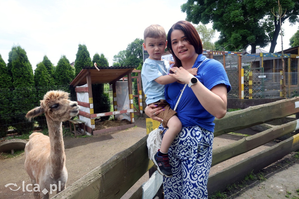 Mini Zoo Piotrówek – atrakcja dla całej rodziny
