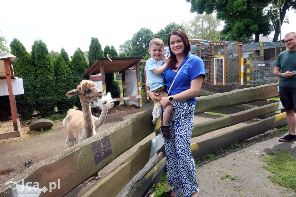 Mini Zoo Piotrówek – atrakcja dla całej rodziny