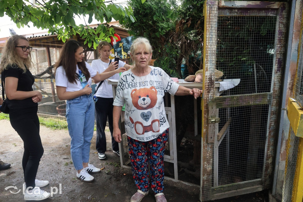 Mini Zoo Piotrówek – atrakcja dla całej rodziny