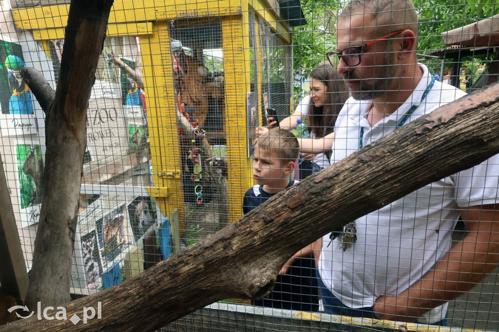 Mini Zoo Piotrówek – atrakcja dla całej rodziny