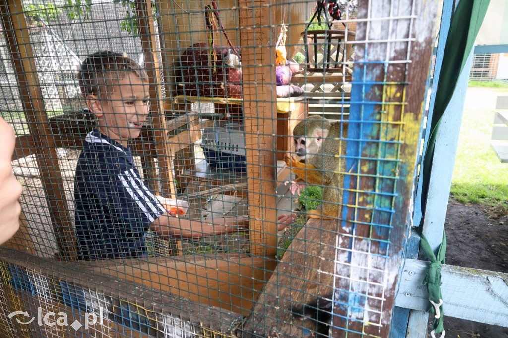 Mini Zoo Piotrówek – atrakcja dla całej rodziny