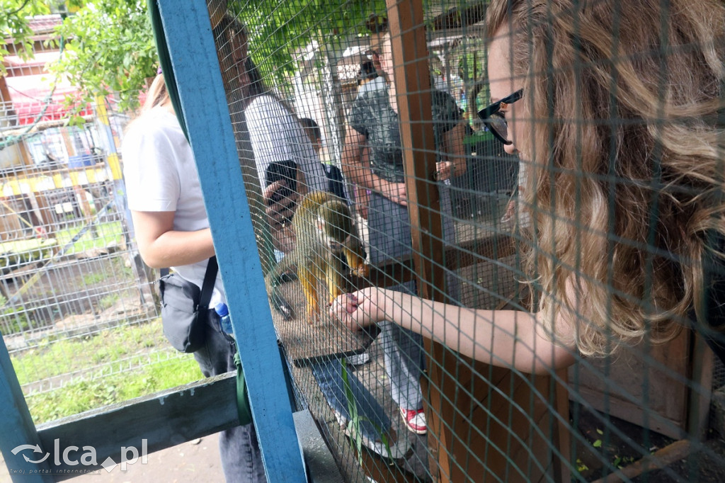 Mini Zoo Piotrówek – atrakcja dla całej rodziny