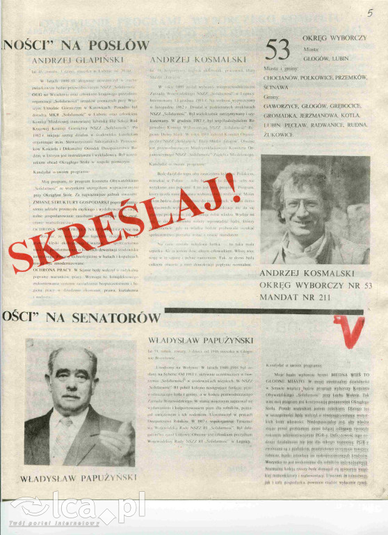 Plakaty, ulotki i wycinki prasowe z 1989 roku