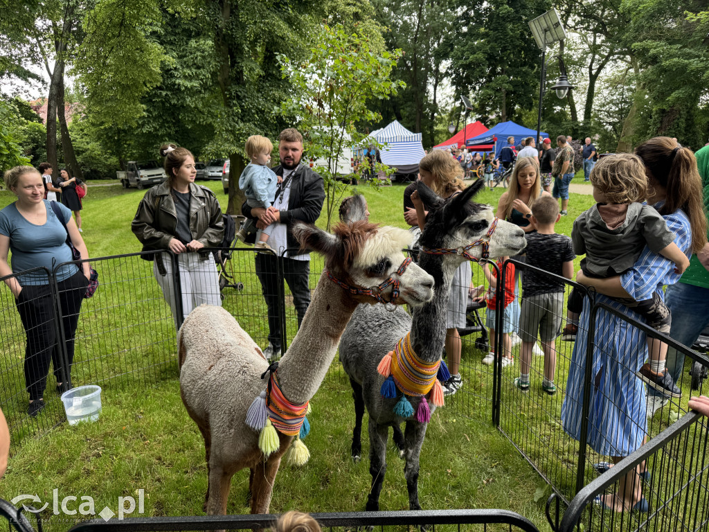 Dzień Dziecka z kajakiem i lokalnymi produktami