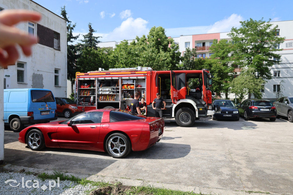 Festyn Rodzinny w Przedszkolu nr 12