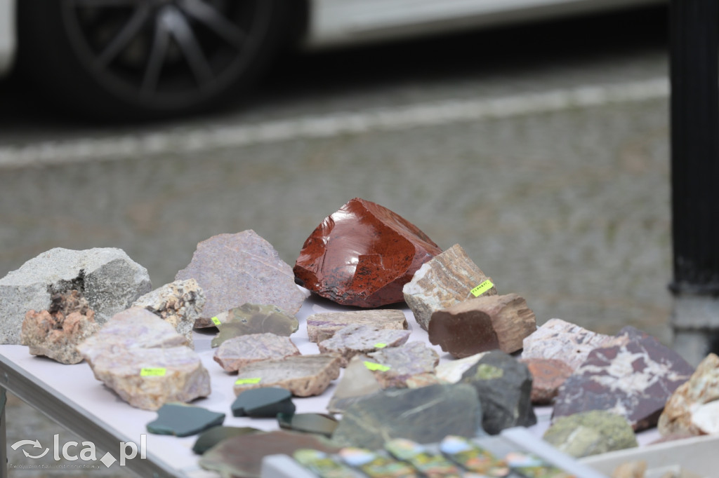 Czerwcowy Jarmark Staroci na legnickim rynku