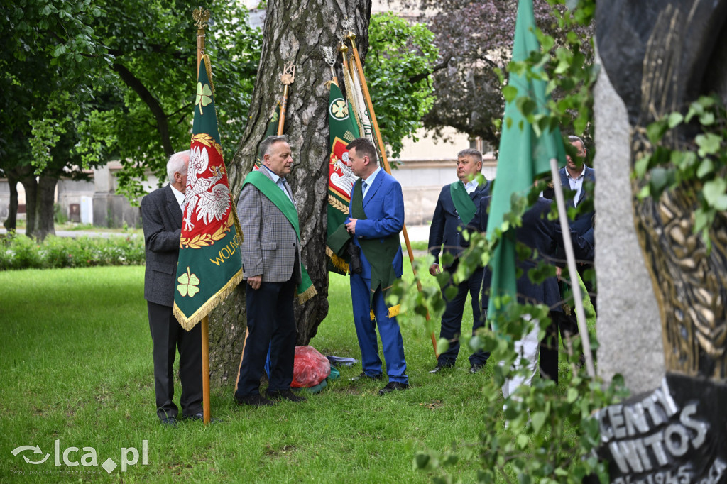 PSL składa kwiaty pod pomnikiem Witosa