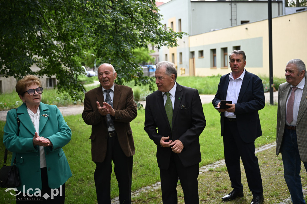 PSL składa kwiaty pod pomnikiem Witosa