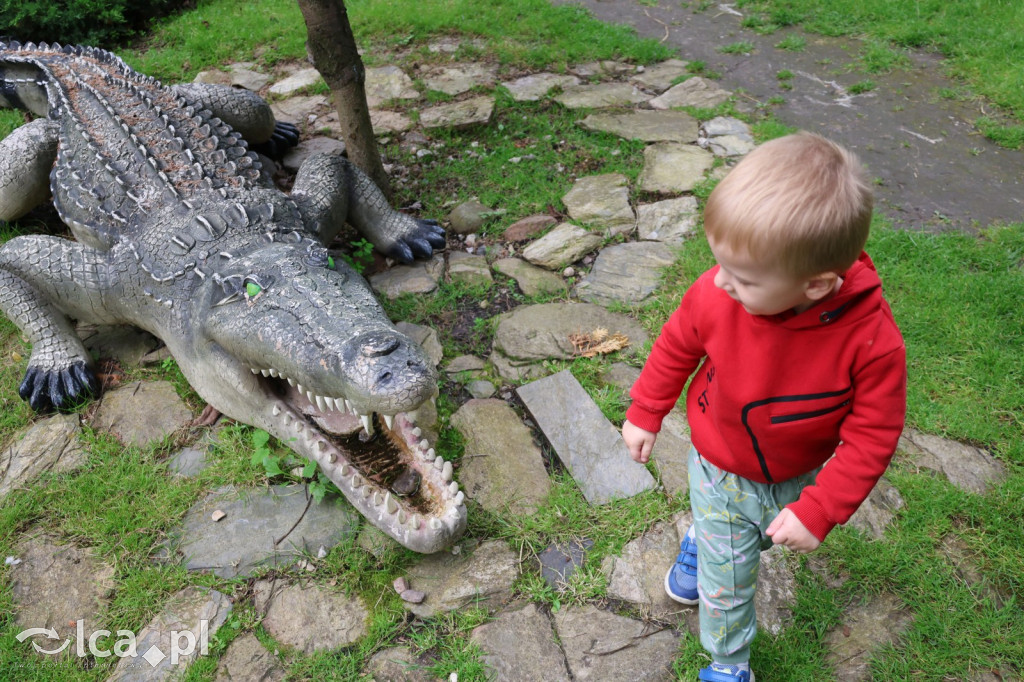 Mini Zoo w Piotrówku – wielka atrakcja dla dzieci