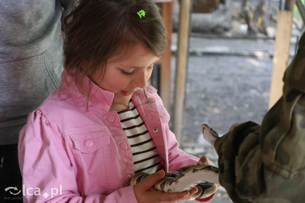 Mini Zoo w Piotrówku – wielka atrakcja dla dzieci