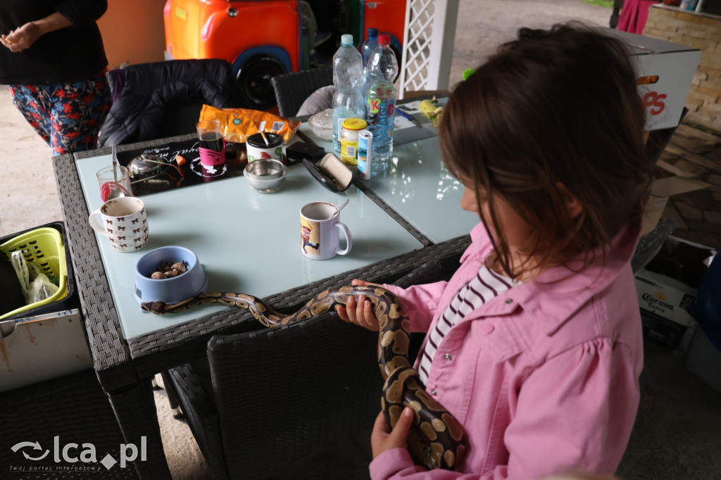 Mini Zoo w Piotrówku – wielka atrakcja dla dzieci