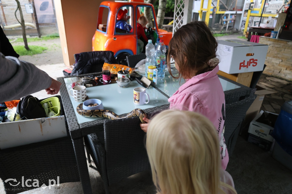 Mini Zoo w Piotrówku – wielka atrakcja dla dzieci