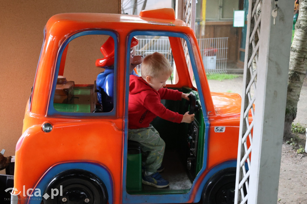 Mini Zoo w Piotrówku – wielka atrakcja dla dzieci