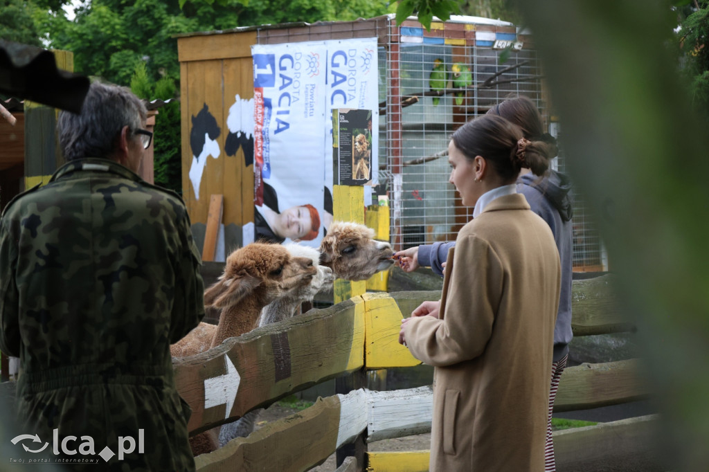Mini Zoo w Piotrówku – wielka atrakcja dla dzieci