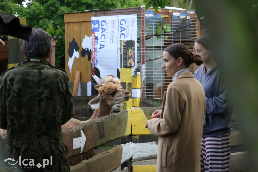 Mini Zoo w Piotrówku – wielka atrakcja dla dzieci