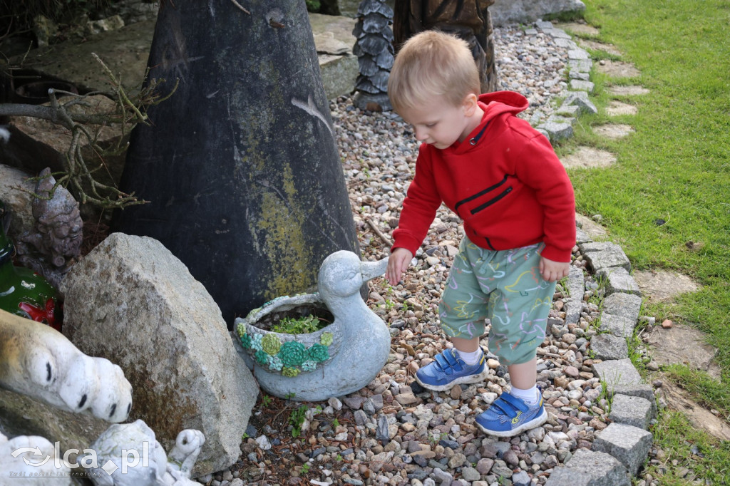Mini Zoo w Piotrówku – wielka atrakcja dla dzieci