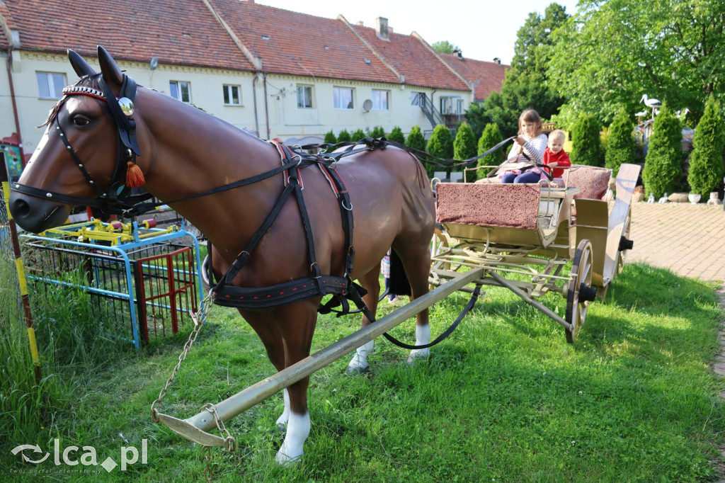 Mini Zoo w Piotrówku – wielka atrakcja dla dzieci