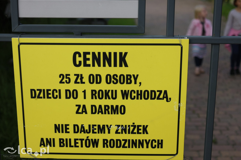Mini Zoo w Piotrówku – wielka atrakcja dla dzieci