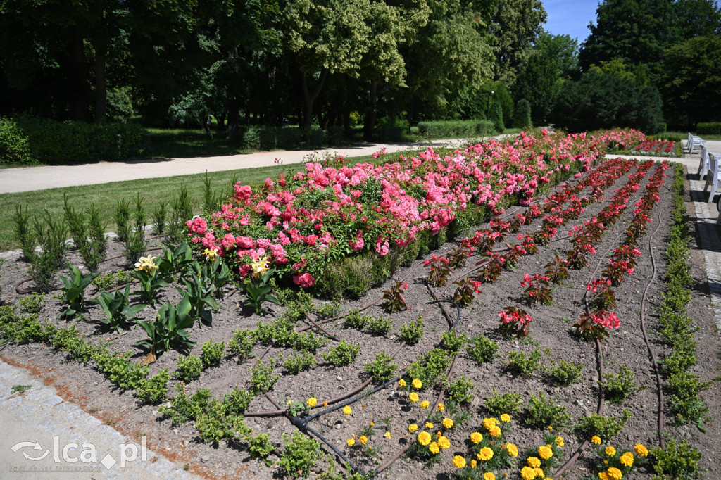 Park Miejski powitał lato