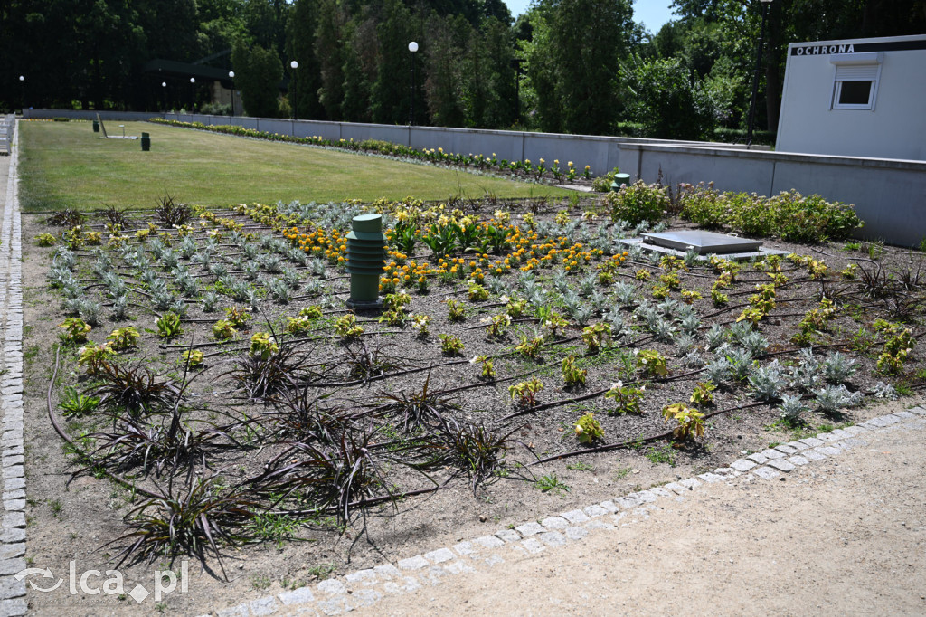 Park Miejski powitał lato