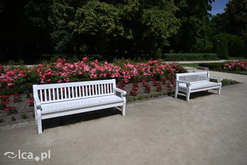 Park Miejski powitał lato