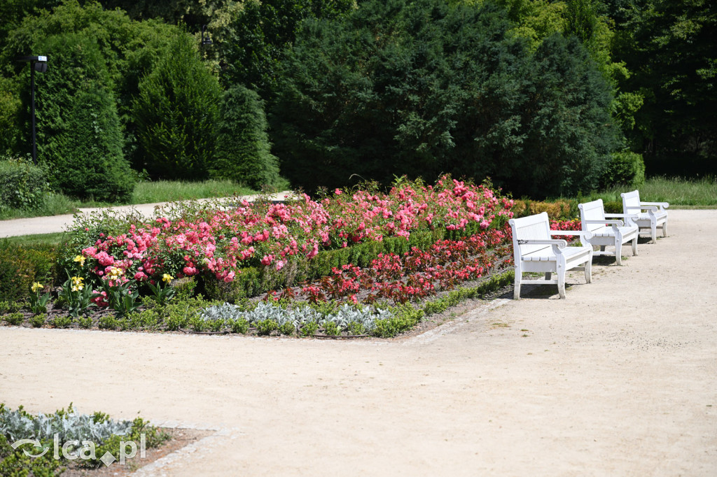 Park Miejski powitał lato