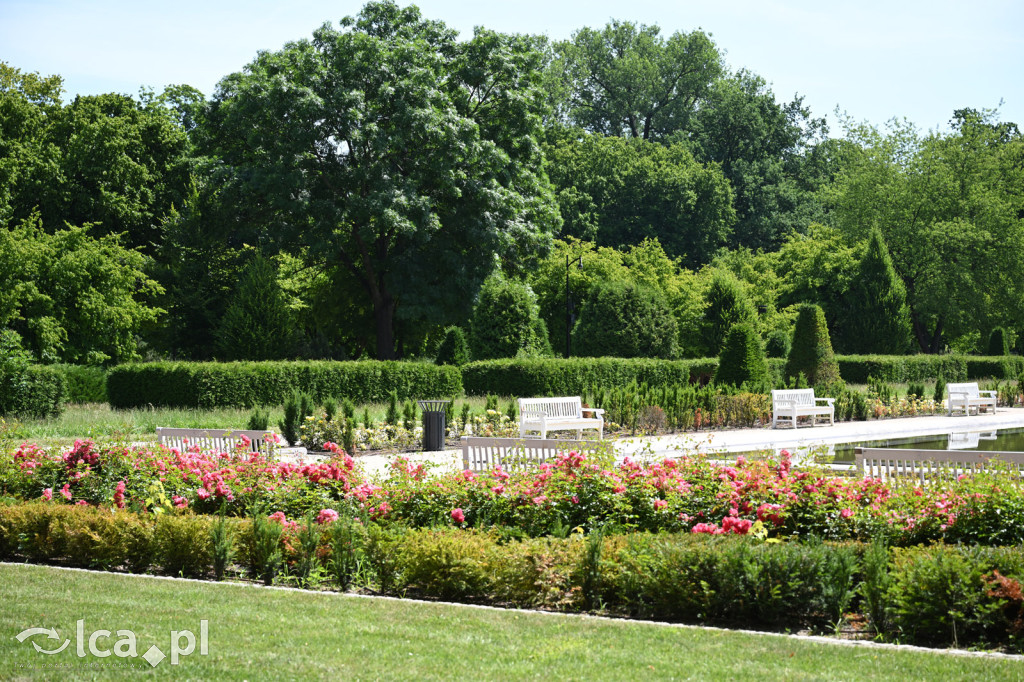 Park Miejski powitał lato