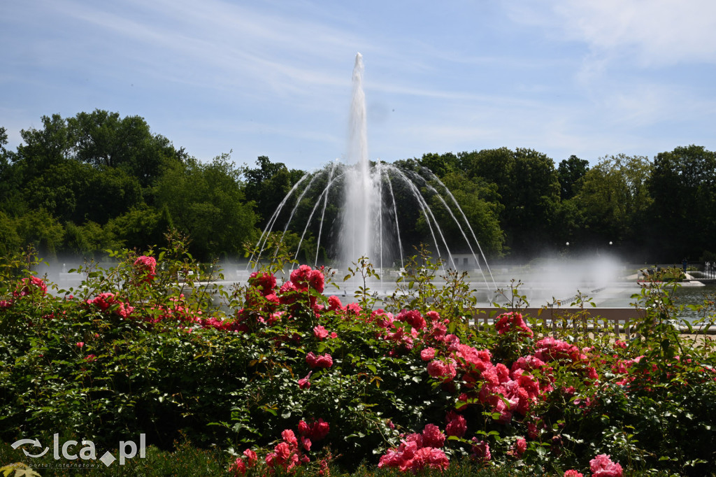 Park Miejski powitał lato